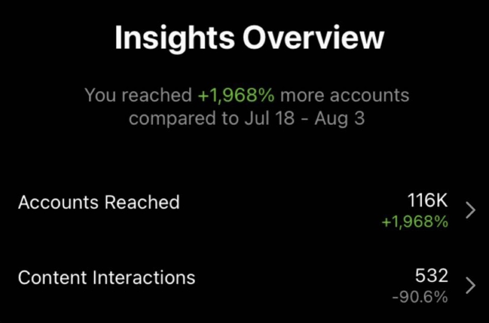 Real client results showing follower and engagement growth